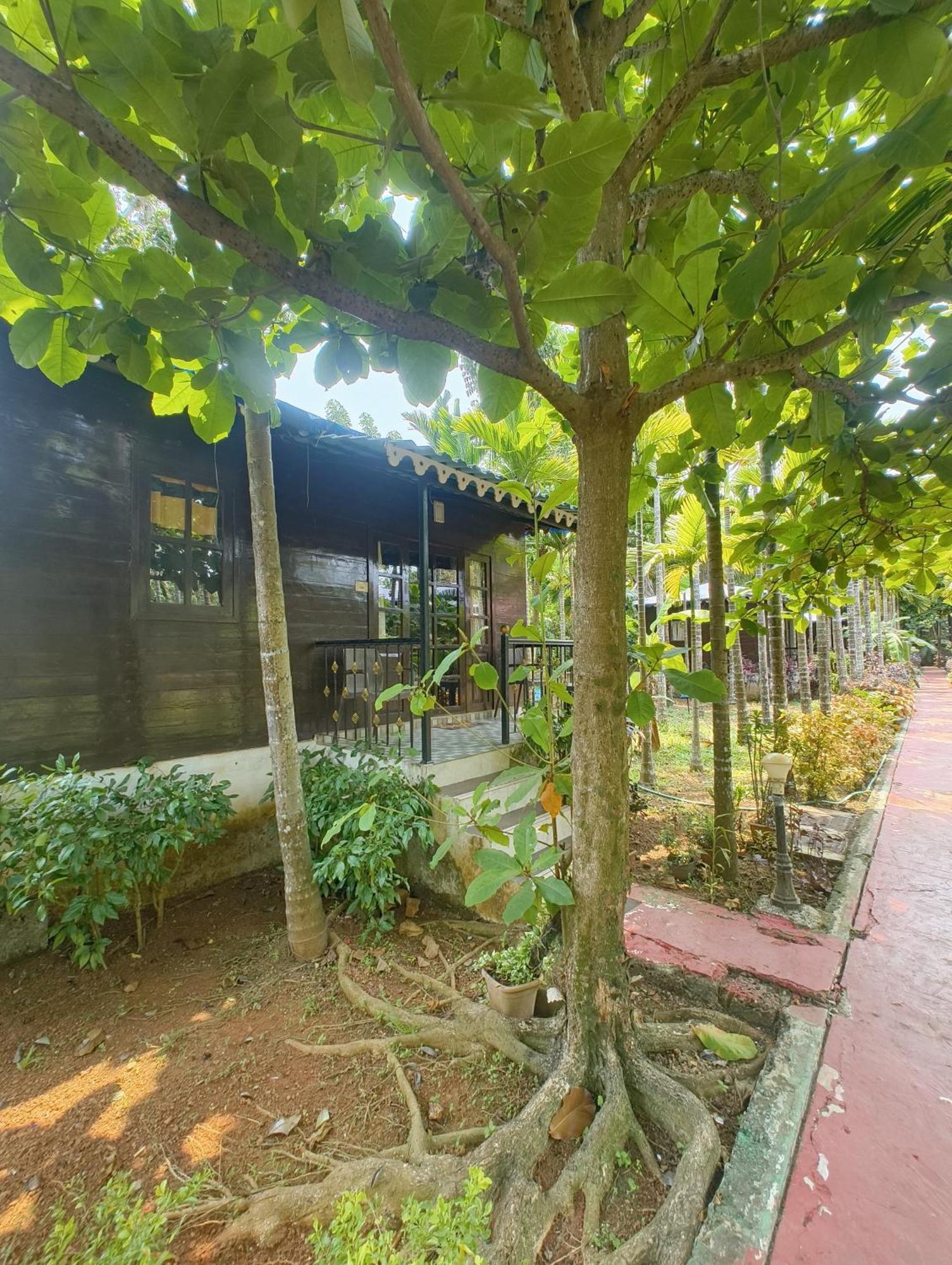 Go Green Spice & Eco Resort Cavelossim Eksteriør billede